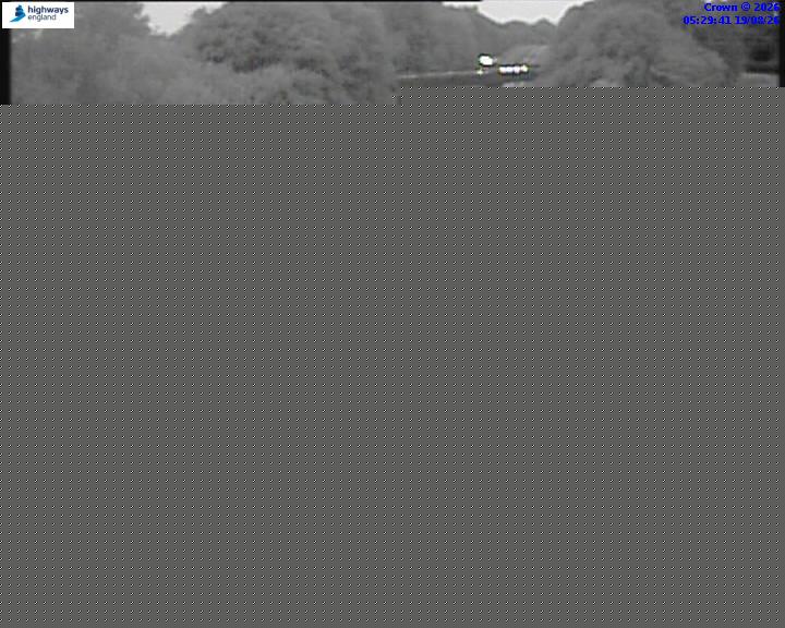 65003-1787117423.jpg