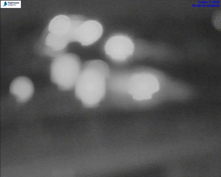 52701-1787029576.jpg