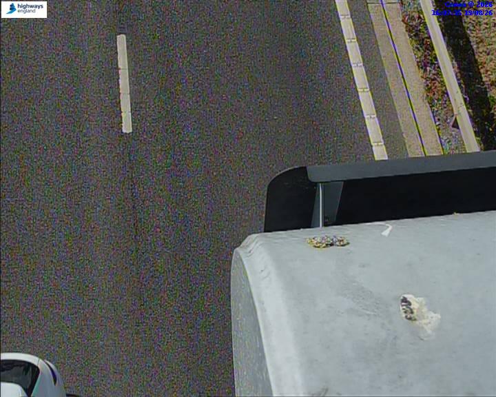 52702-1787155656.jpg