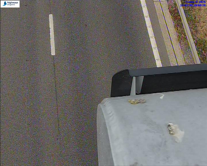 52702-1787227634.jpg