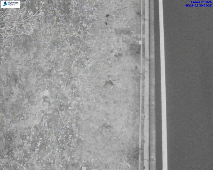 52690-1787117376.jpg