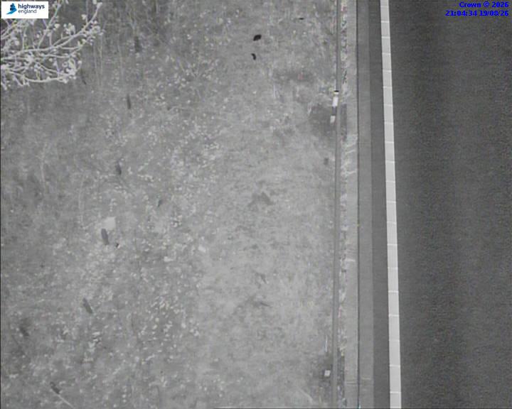 52690-1787173478.jpg