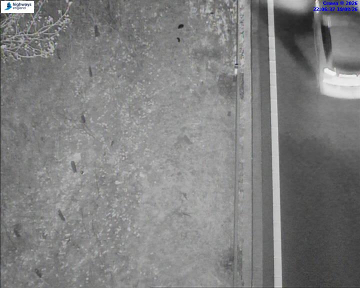 52690-1787177215.jpg