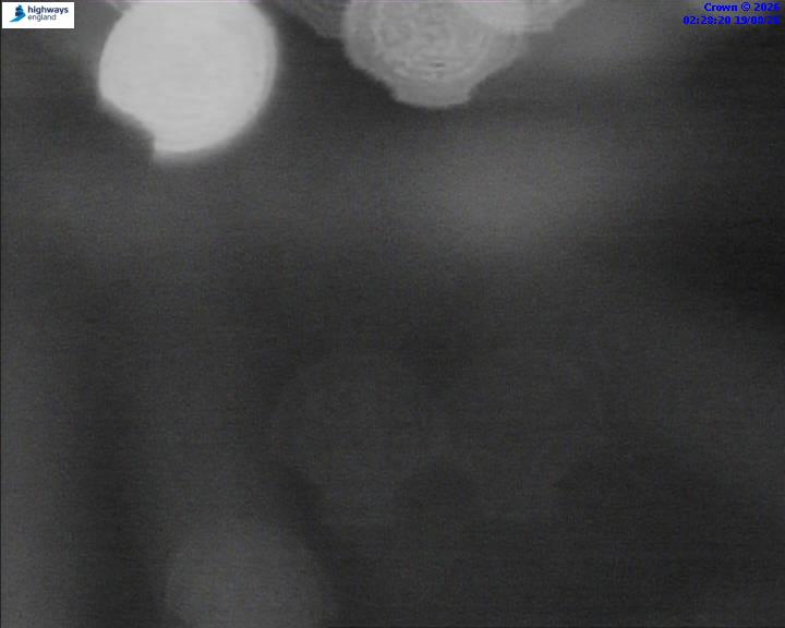 52660-1787106537.jpg