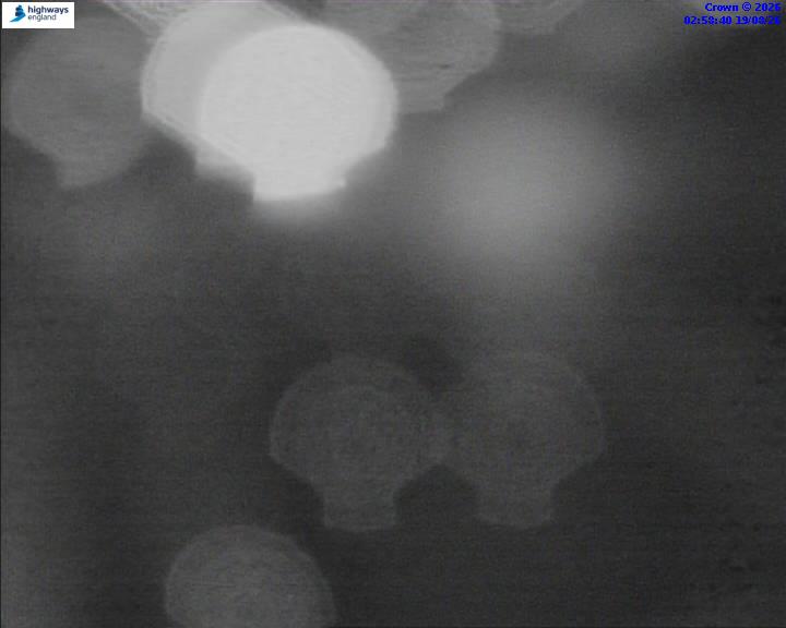 52660-1787108348.jpg