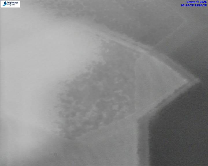 52643-1787117335.jpg