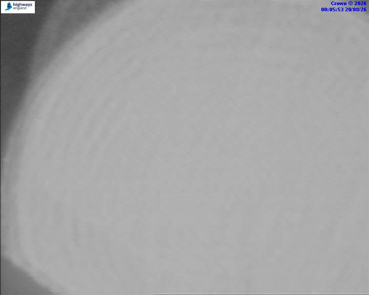 52639-1787184363.jpg
