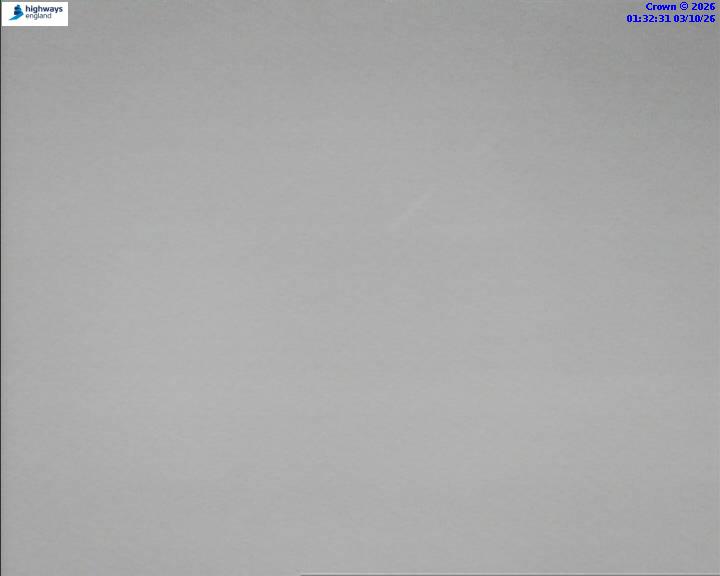 52515-1790991160.jpg
