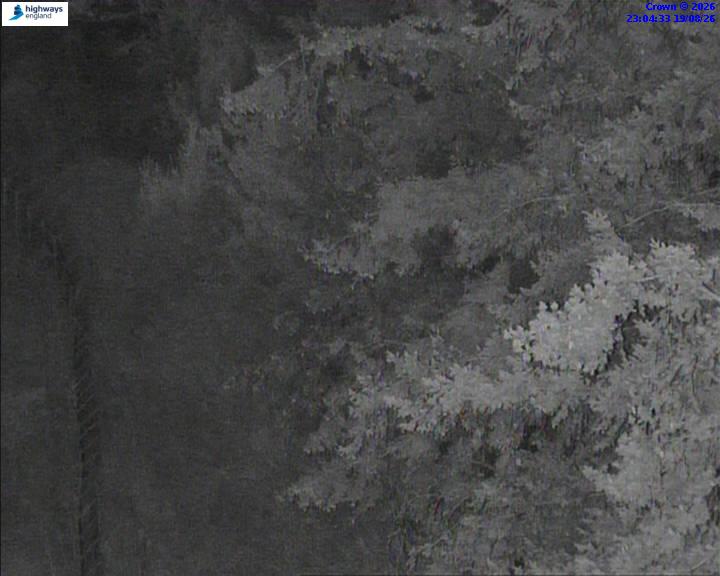 52498-1787180679.jpg