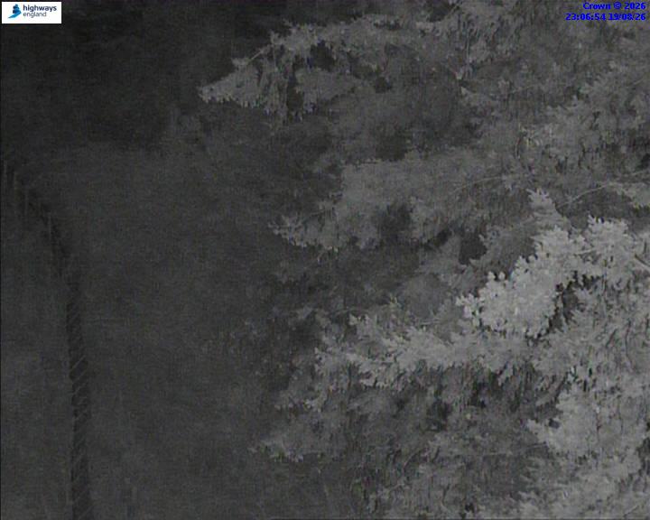 52498-1787180817.jpg