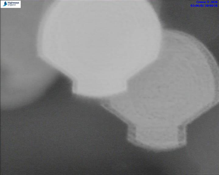 52460-1787195168.jpg