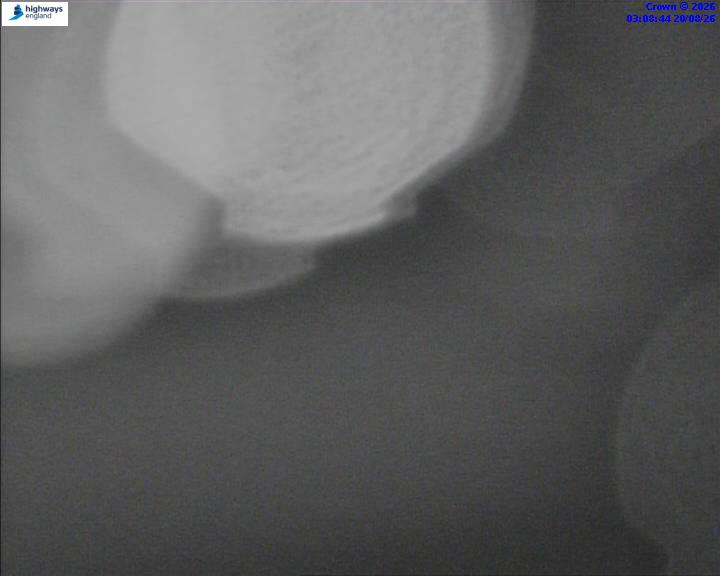 52460-1787195335.jpg