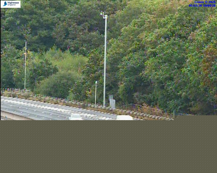 52450-1787119098.jpg