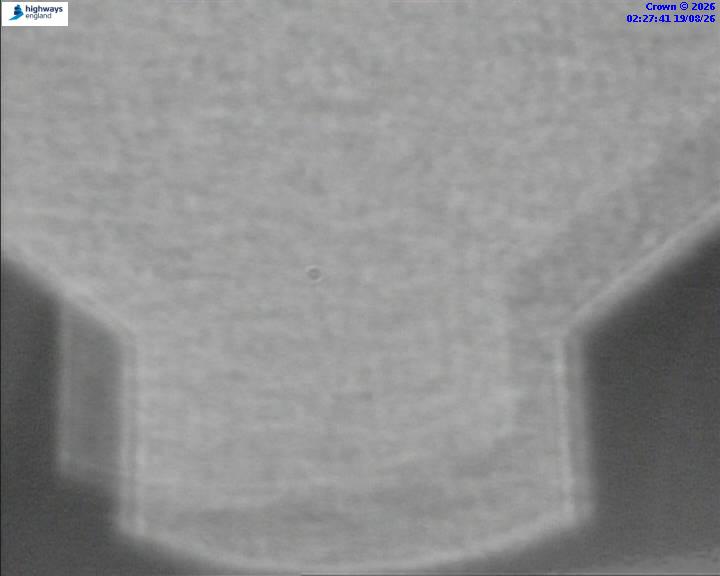 52448-1787106484.jpg