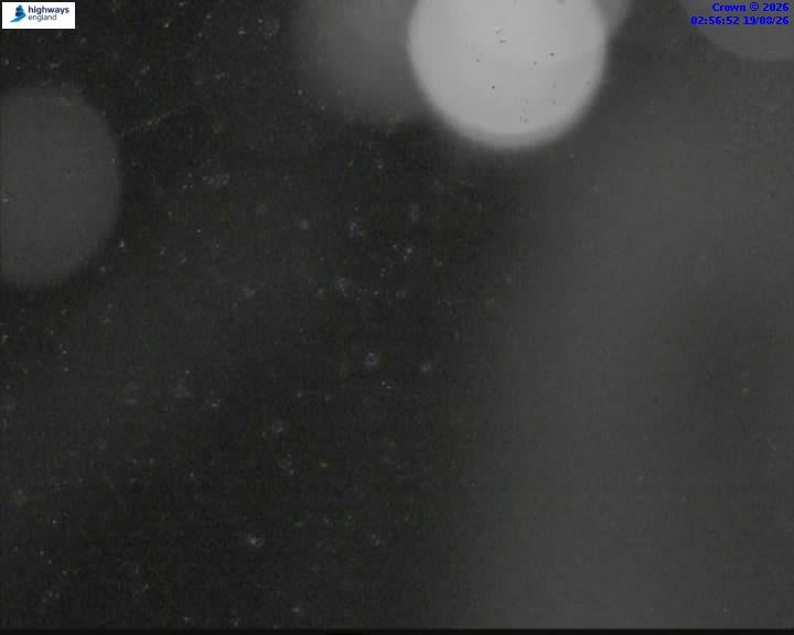 58498-1787108252.jpg