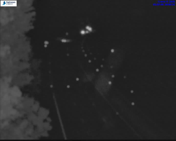 58456-1787188037.jpg