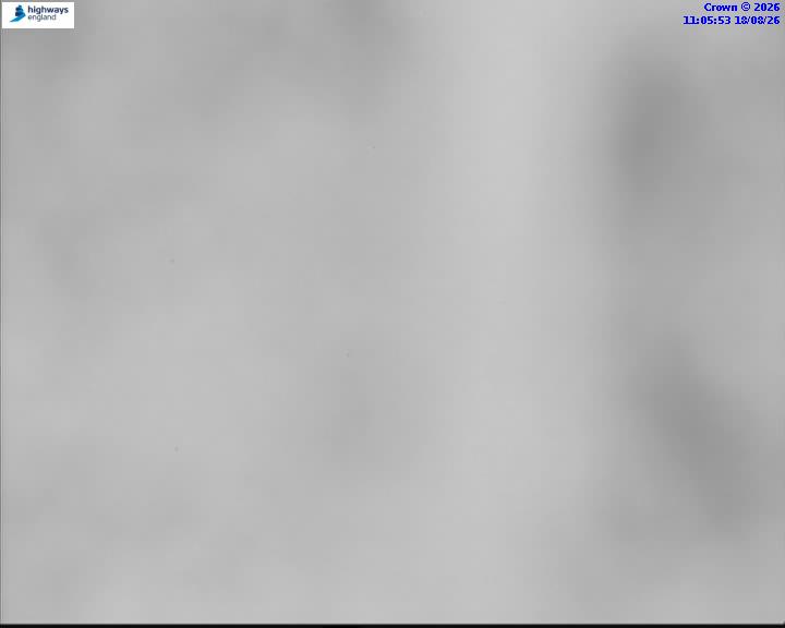 58329-1787051165.jpg