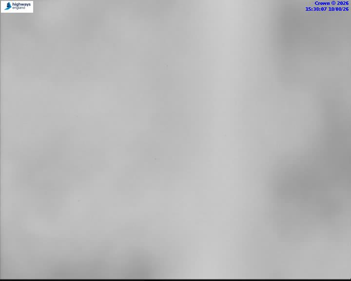 58329-1787067504.jpg