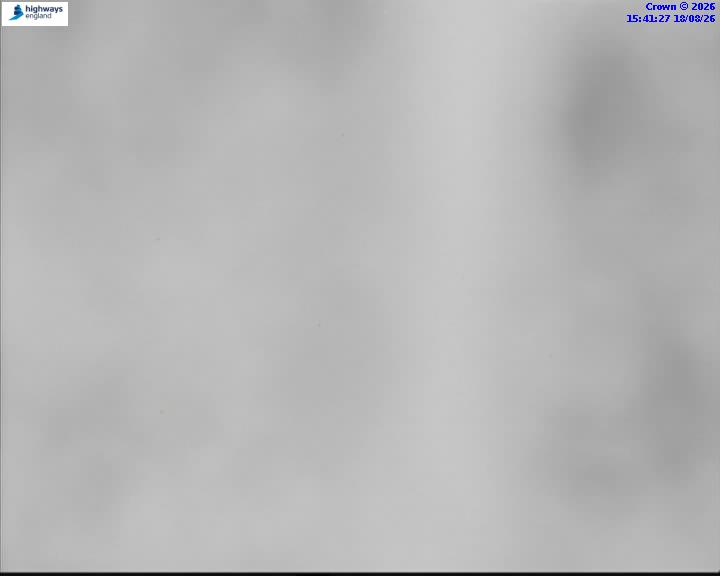 58329-1787067703.jpg