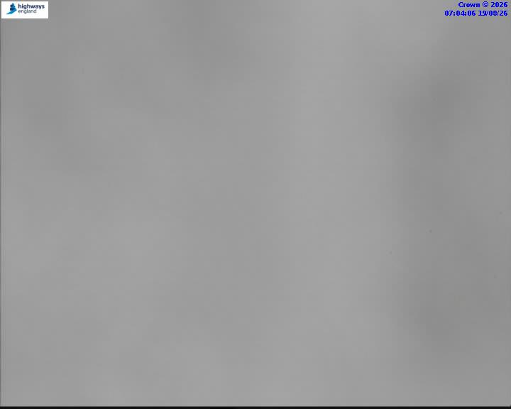 58329-1787123054.jpg