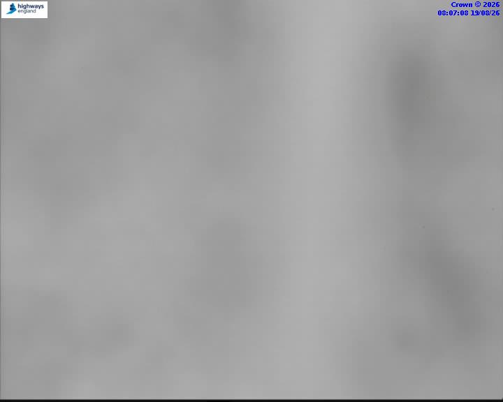 58329-1787126842.jpg