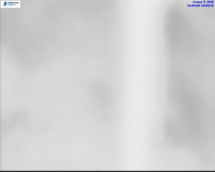 58329-1787137462.jpg