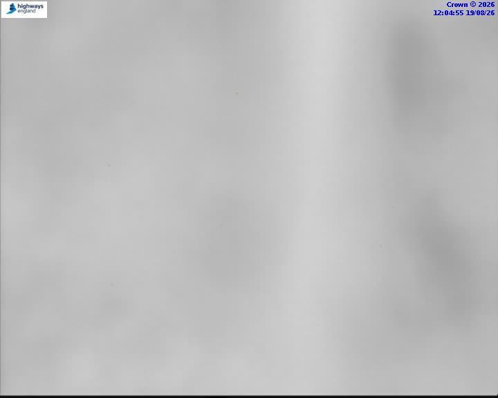 58329-1787141097.jpg