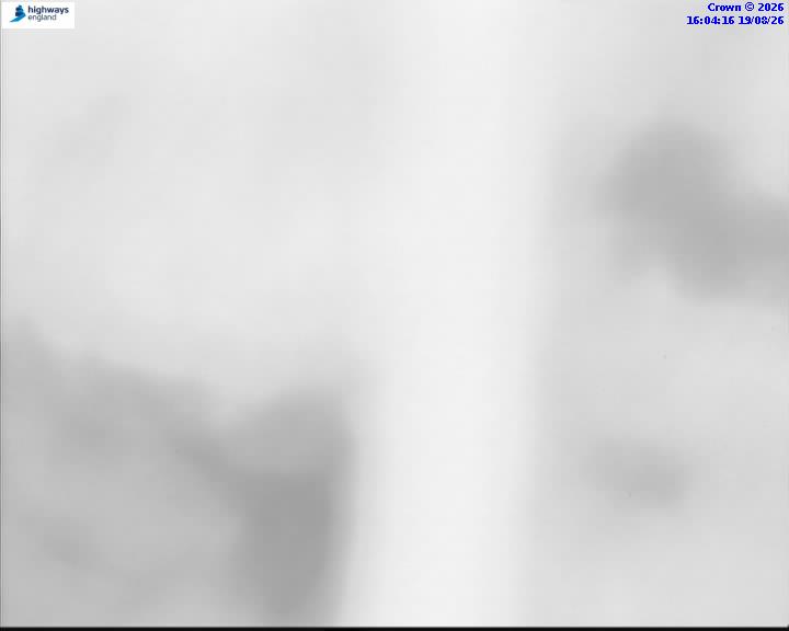 58329-1787155475.jpg
