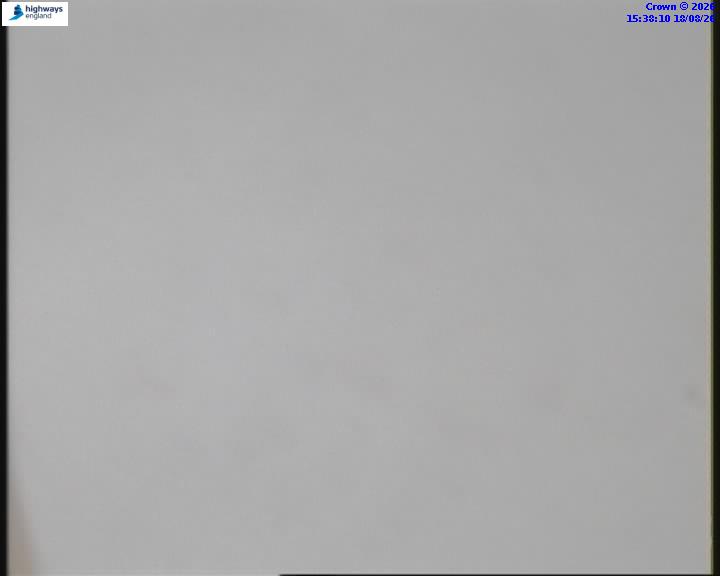 55031-1787067506.jpg
