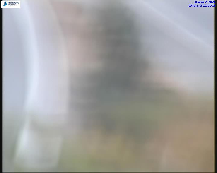 55031-1787072689.jpg