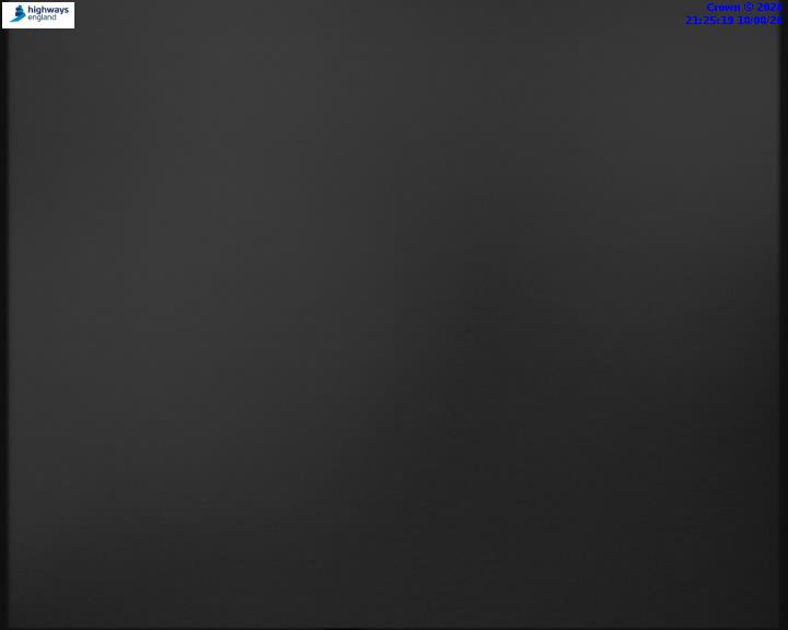 55031-1787088351.jpg