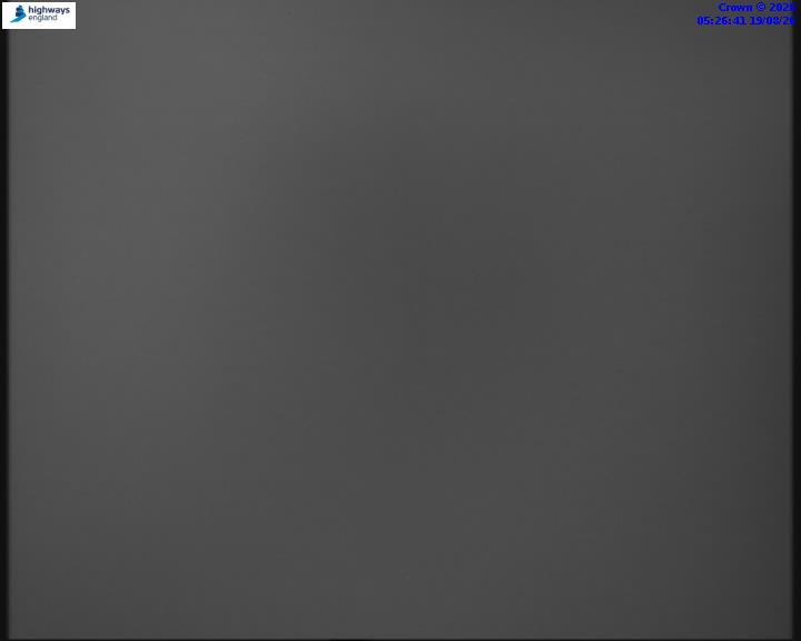 55031-1787117223.jpg