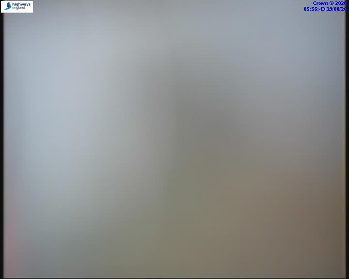 55031-1787119030.jpg