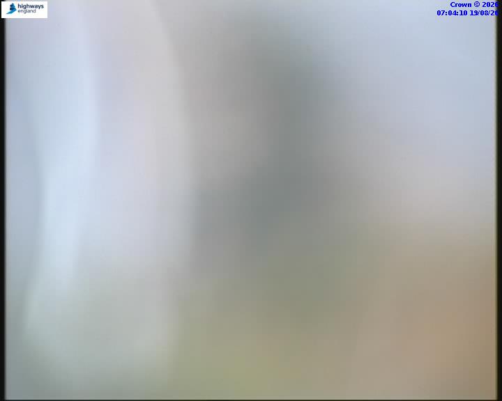55031-1787123054.jpg