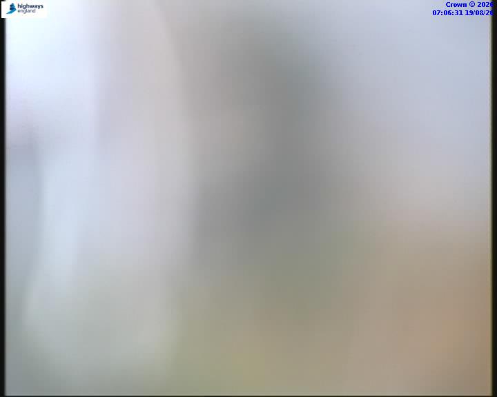 55031-1787123198.jpg