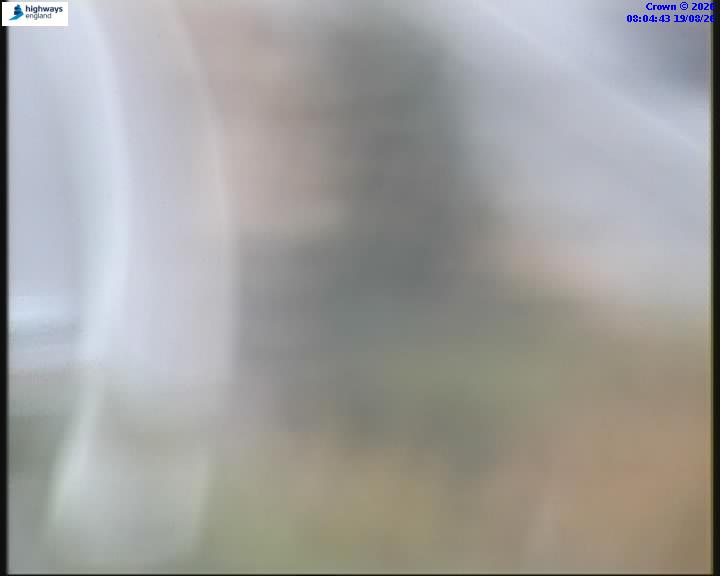 55031-1787126689.jpg