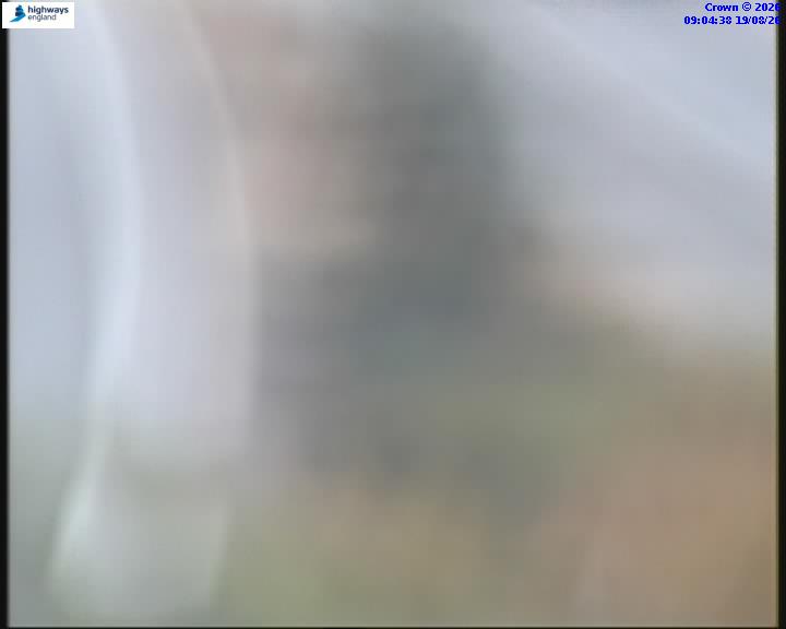 55031-1787130286.jpg