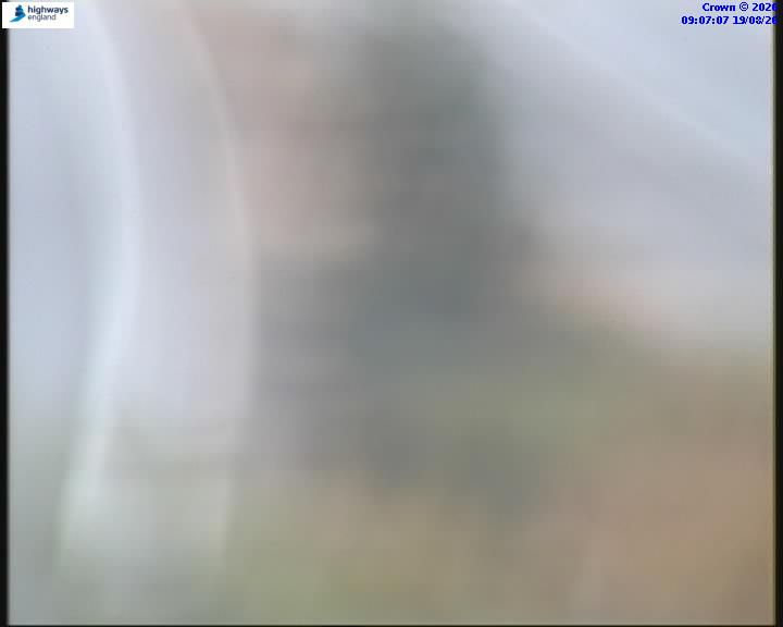 55031-1787130438.jpg