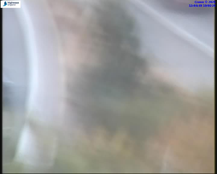 55031-1787141098.jpg