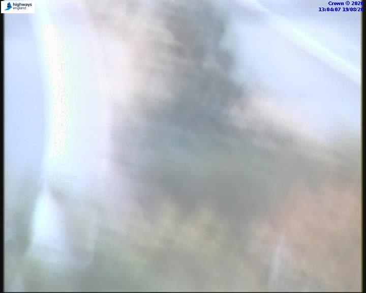 55031-1787144655.jpg