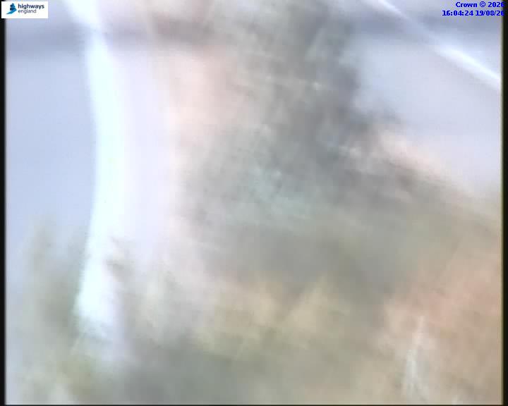 55031-1787155473.jpg