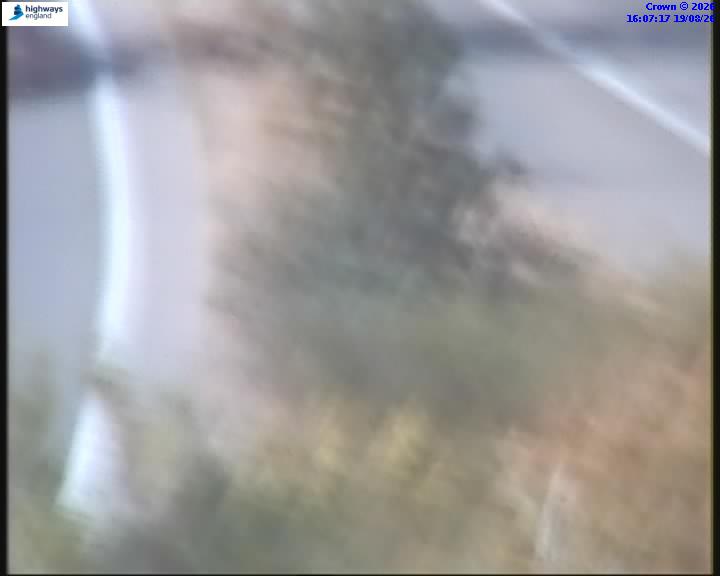 55031-1787155650.jpg