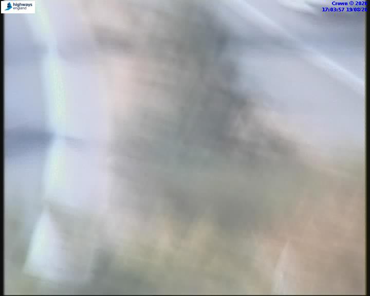 55031-1787159063.jpg