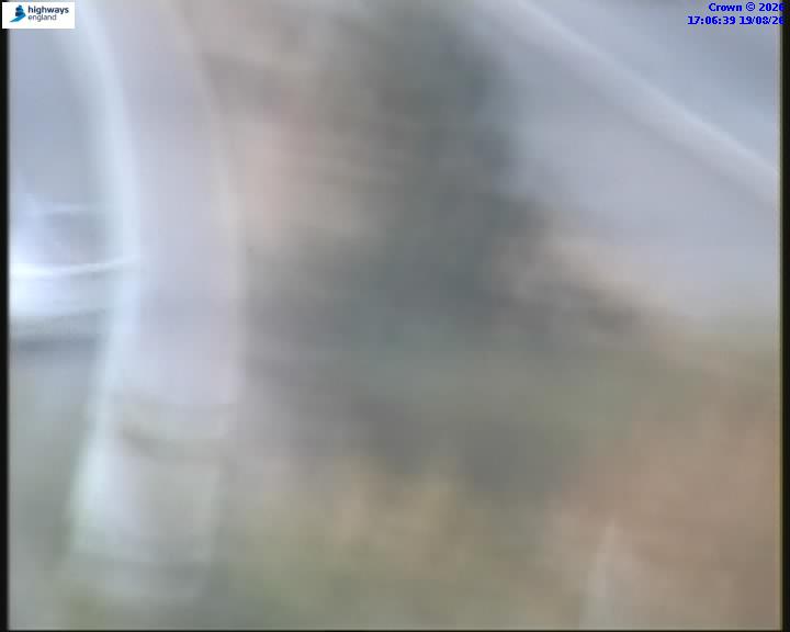 55031-1787159208.jpg