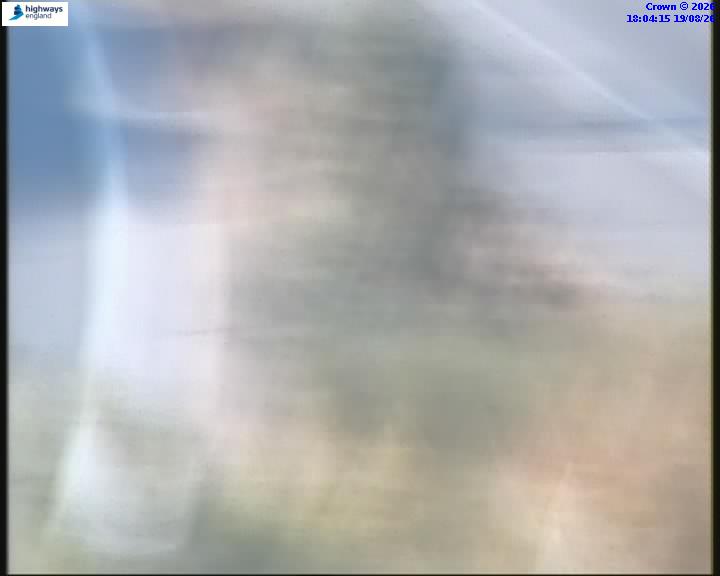 55031-1787162662.jpg