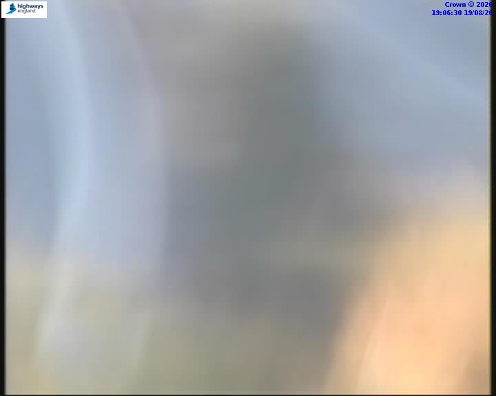 55031-1787166394.jpg