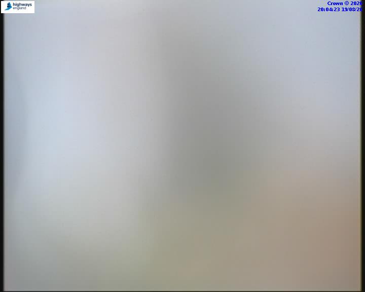 55031-1787169878.jpg