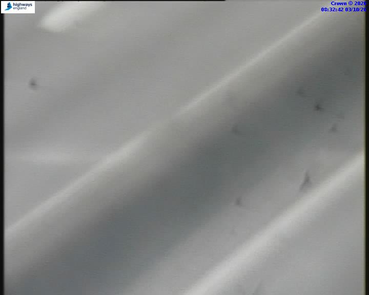 55059-1791016368.jpg
