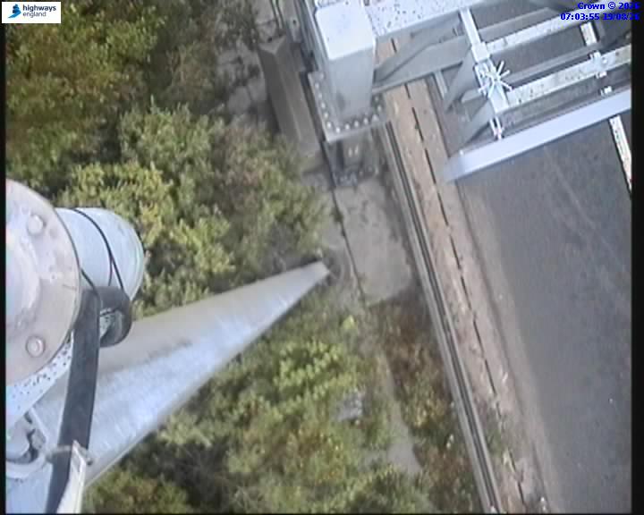 55084-1787123054.jpg