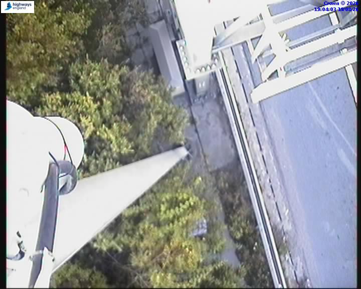 55084-1787166255.jpg
